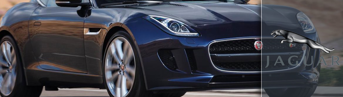 noleggio a lungo termine jaguar